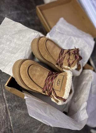 Черевики ugg