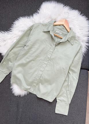 Сорочка teeo polo оригінал чоловіча бавовна