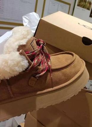 Сапоги угги ugg Shell funkarra ботинки4 фото