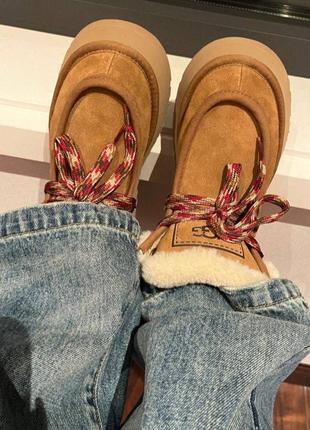 Сапоги угги ugg Shell funkarra ботинки8 фото