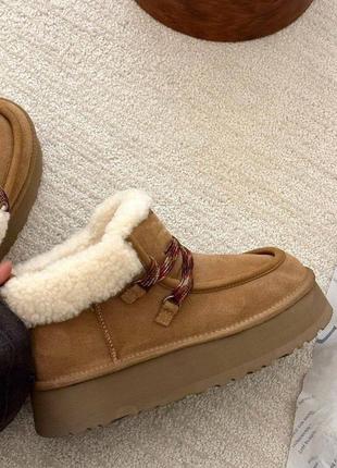 Сапоги угги ugg Shell funkarra ботинки3 фото