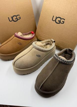 В наличии ugg tazz угги угги натуральные