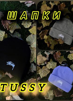Зимние шапки stussy