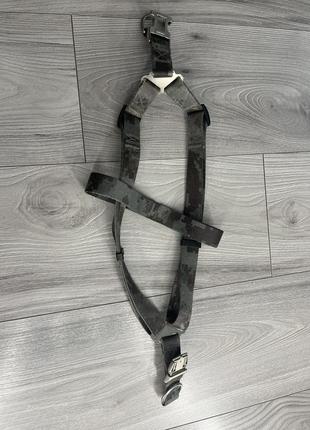 Шлея для собак