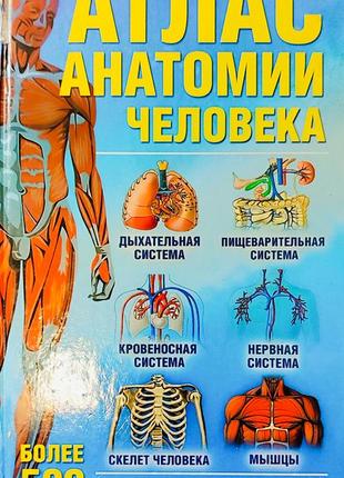 Анатомія людини
