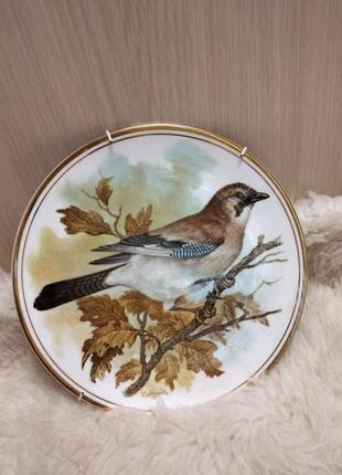 Тарелка декоративная edvardian английская.