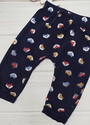 Спортивні штани