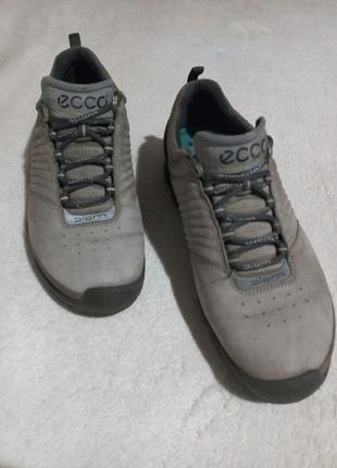 Кросівки gore ecco