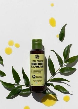 Концентрований гель для душу олива-петигрейн від yves rocher