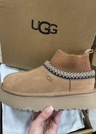 Угги на платформе Forede ugg tazz