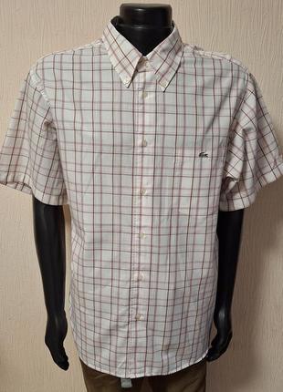 Трендовая хлопковая рубашка с короткими рукавами белого цвета в красную полоску lacoste