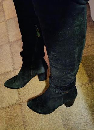 Зимние женские замшевые ботфорты.