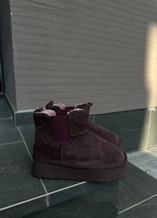 Жіночі сливові угги