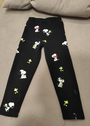 Лосины viollen