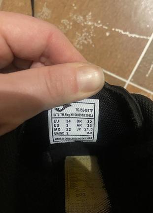 Сороконожки