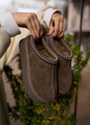Угги ugg tazz brown premium