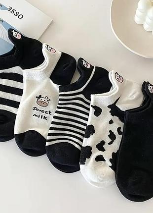 Набор носков