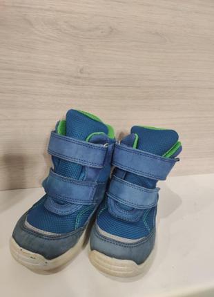 Сапоги ecco gore-tex размер 23