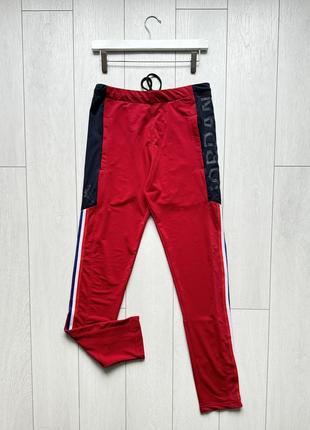 Мужские спортивные штаны jordan nike