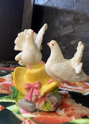 Голуби на капелюсі 5