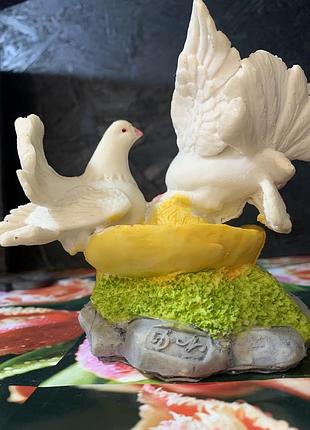 Голуби на капелюсі 6