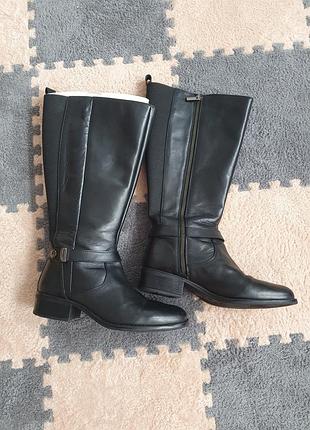 Чоботи sheego на широку литку 38