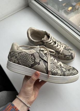 Кросівки michael kors