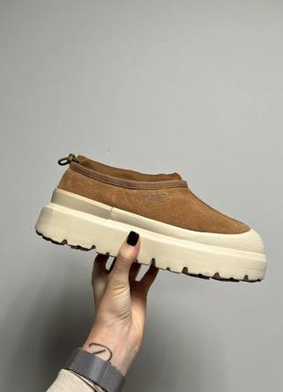 Угги угги угги ugg tasman hybrid chestnut beige