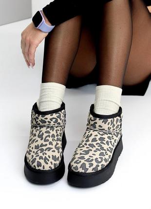Уггі жіночі леопардові (23072)