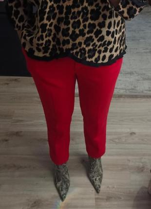 Брюки женские slim р.42