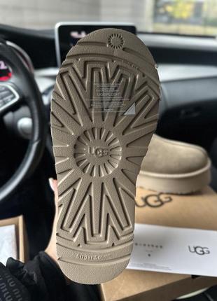 Ugg tazz