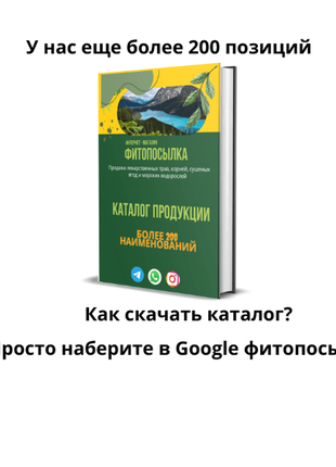 Пижма – натуральное средство от паразитов | фитопосылка