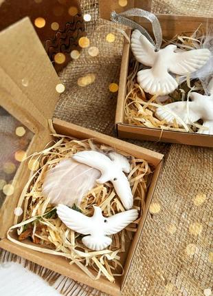 Парні горлиці голуби як з фільму один вдома