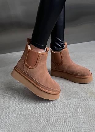 Ugg neumel platform chelsea brown, угги жіночі на платформі коричневі, угги женские коричневые, угги челси