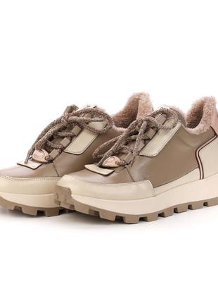 Зимние кроссовки step on / xo-01