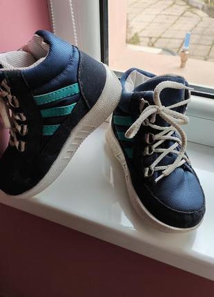 Зимние сапоги. хайтопы.