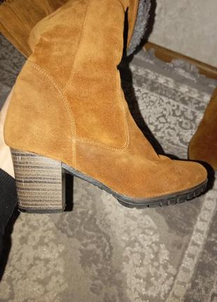Женские сапоги5 фото