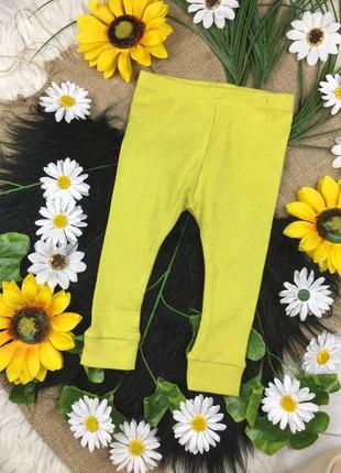 Горчичные штанишки на 6-9 мес