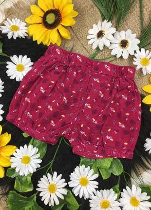 Вельветовые шортики на 6-9 мес