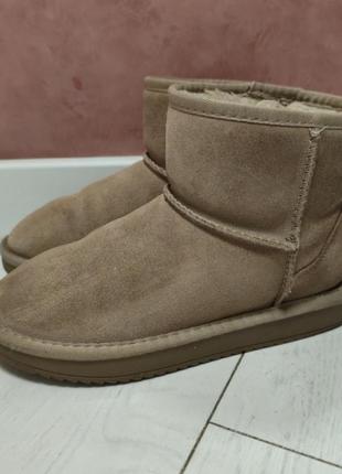 Уггі жіночі