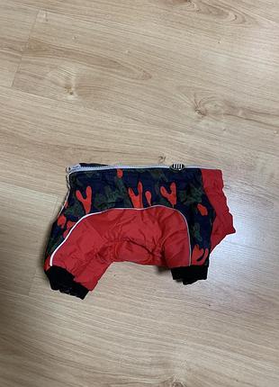 Зимовий комбінезон для маленької собачки