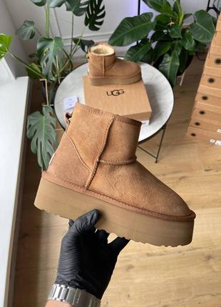Угги уггі угг Shadow ugg mini platform chestnut5 фото