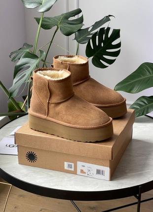 Угги уггі угг ugg coin platform chestnut