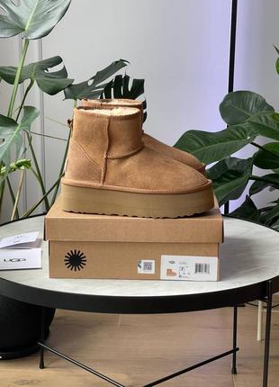 Угги уггі угг Shadow ugg mini platform chestnut2 фото