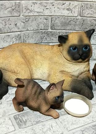 Кот