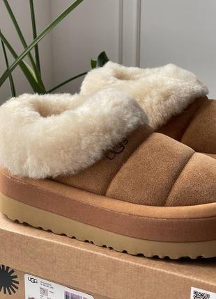 Ugg6 фото