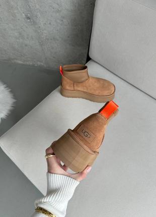 Уггі угги жіночі натуральні ugg dipper