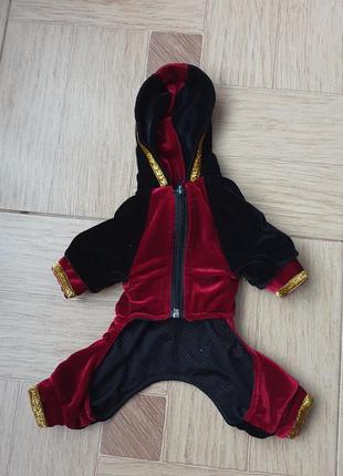 Комбінезон на маленьку собачку