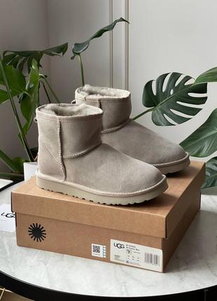 Угги уггі угг UGG Classic Mini II Boot Starry Night light grey