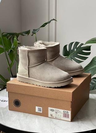 Угги уггі угг ugg light grey metallic suede